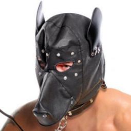 Doggie Hood and Leash